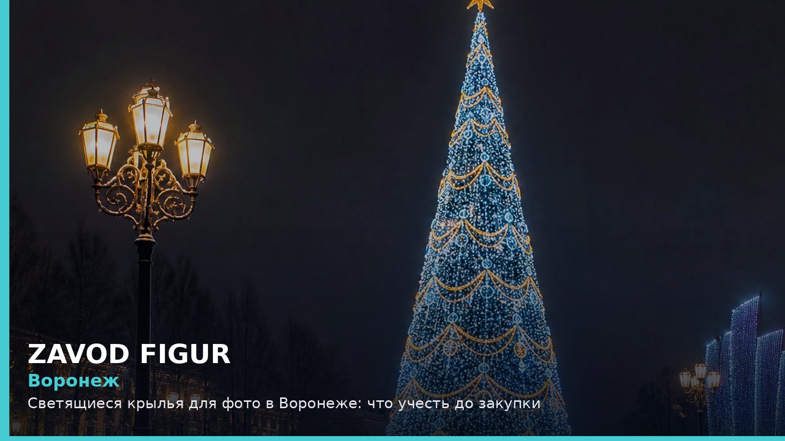 Воронеж: светящиеся крылья для фото