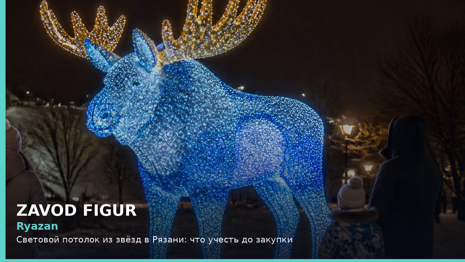 Рязань: световой потолок из звёзд